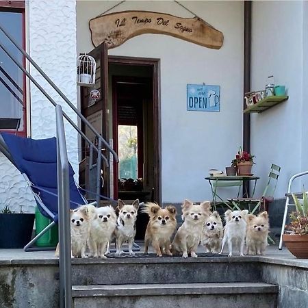 B&B Il Tempo Del Sogno Con Cani E Gatti Pet&Breakfast Μπαβένο Εξωτερικό φωτογραφία