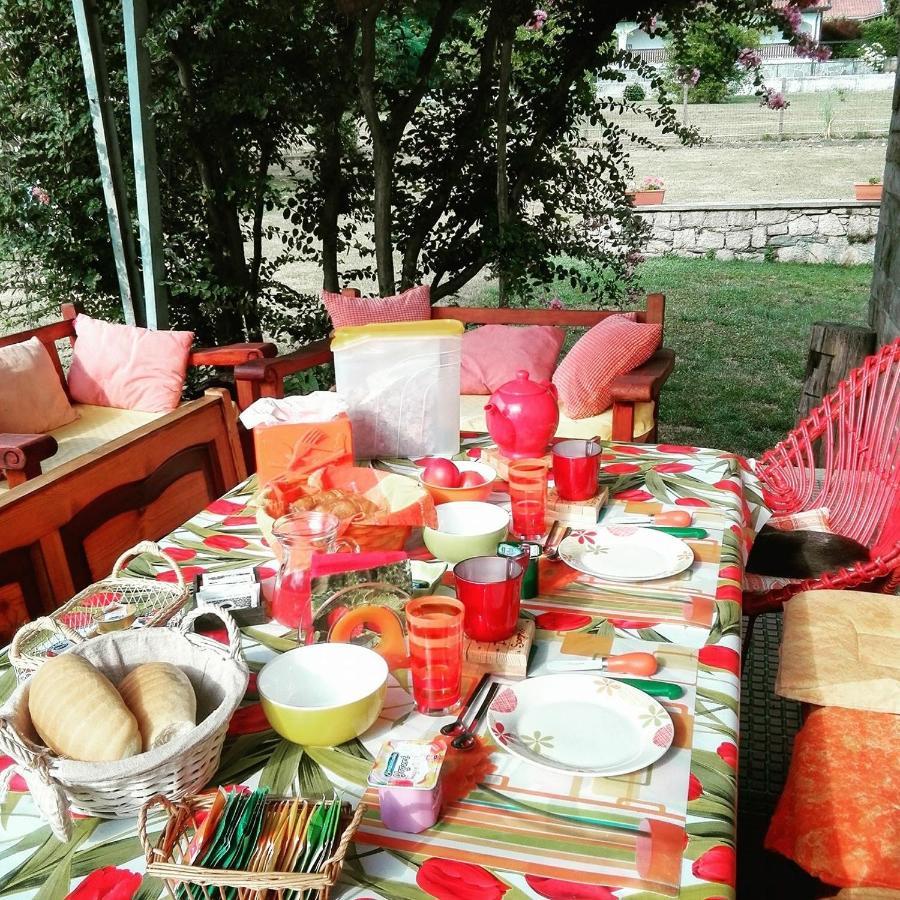 B&B Il Tempo Del Sogno Con Cani E Gatti Pet&Breakfast Μπαβένο Εξωτερικό φωτογραφία