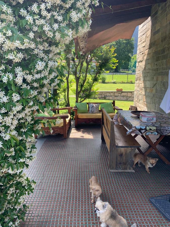 B&B Il Tempo Del Sogno Con Cani E Gatti Pet&Breakfast Μπαβένο Εξωτερικό φωτογραφία