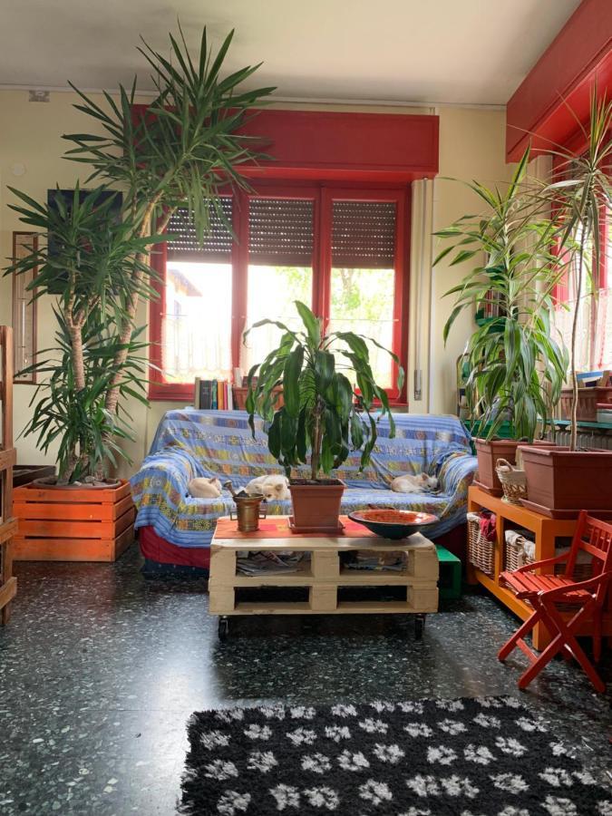 B&B Il Tempo Del Sogno Con Cani E Gatti Pet&Breakfast Μπαβένο Εξωτερικό φωτογραφία