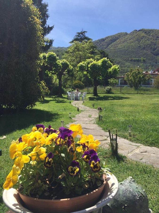 B&B Il Tempo Del Sogno Con Cani E Gatti Pet&Breakfast Μπαβένο Εξωτερικό φωτογραφία